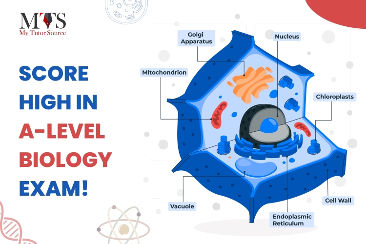Nail Your A-level Biology Exam